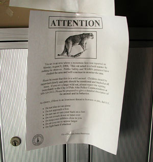 Mountain Lion Warning Poster
